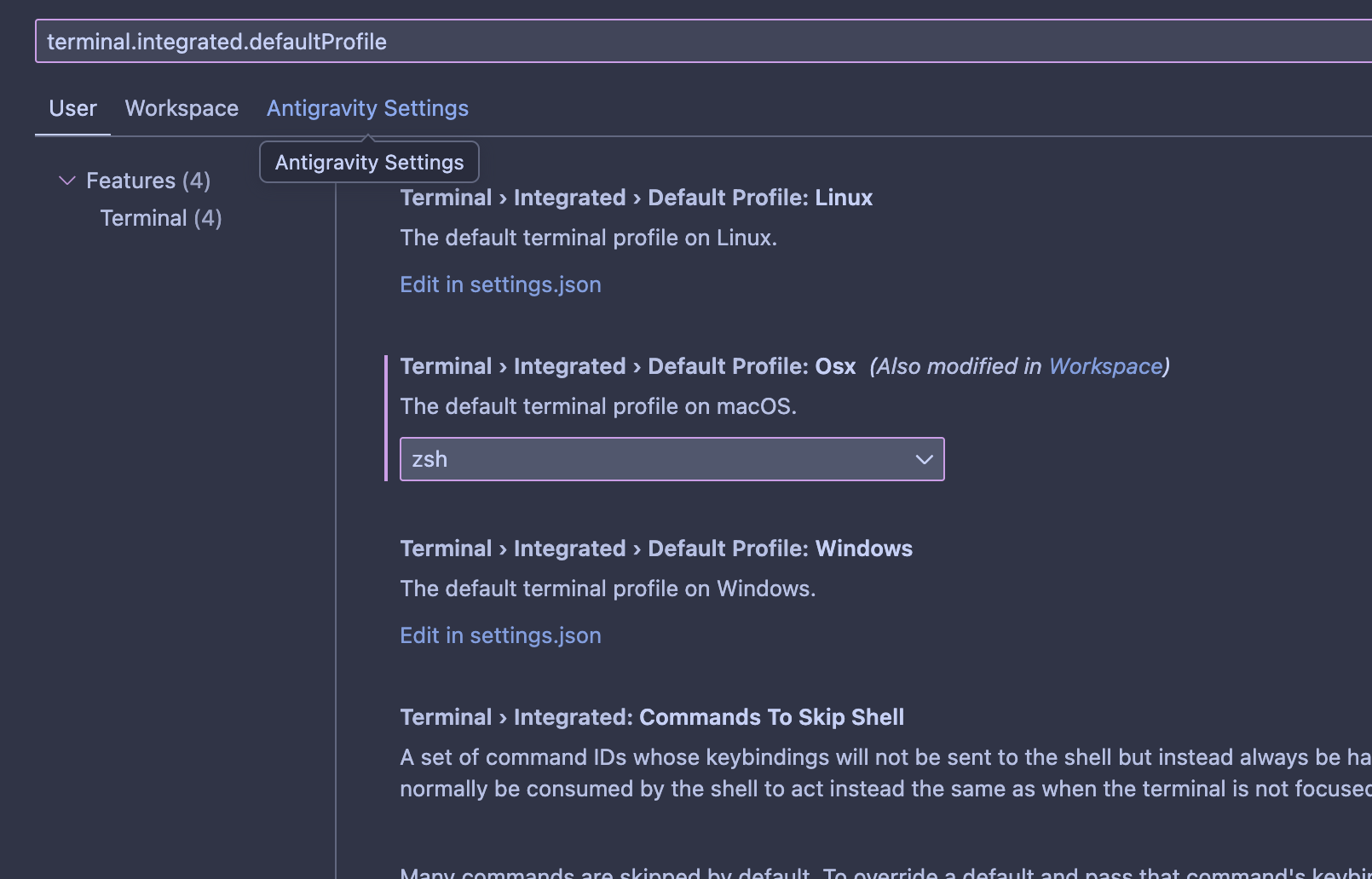 Terminal functioning correctly after fix
